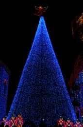 Tree of Lights Picture